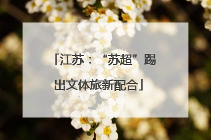 江苏：“苏超”踢出文体旅新配合