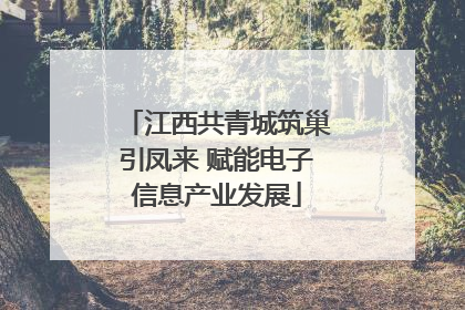 江西共青城筑巢引凤来 赋能电子信息产业发展