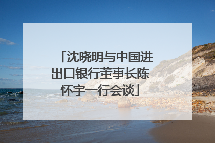 沈晓明与中国进出口银行董事长陈怀宇一行会谈