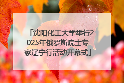 沈阳化工大学举行2025年俄罗斯院士专家辽宁行活动开幕式