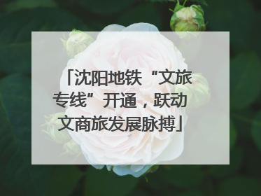 沈阳地铁“文旅专线”开通，跃动文商旅发展脉搏