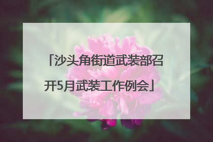 沙头角街道武装部召开5月武装工作例会