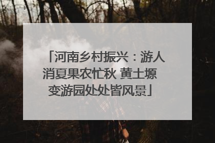 河南乡村振兴：游人消夏果农忙秋 黄土塬变游园处处皆风景