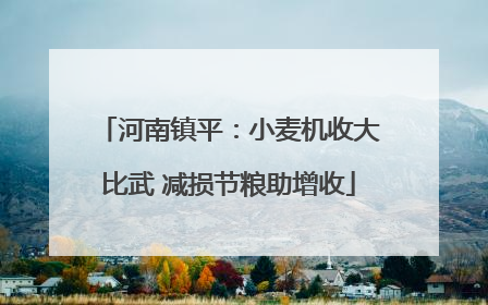 河南镇平：小麦机收大比武 减损节粮助增收