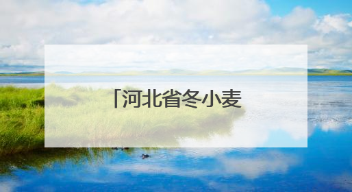 河北省冬小麦大规模机收工作全面启动