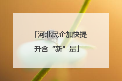 河北民企加快提升含“新”量