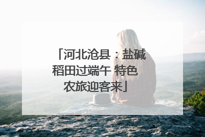 河北沧县：盐碱稻田过端午 特色农旅迎客来