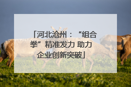 河北沧州：“组合拳”精准发力 助力企业创新突破