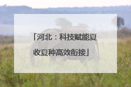 河北：科技赋能夏收夏种高效衔接