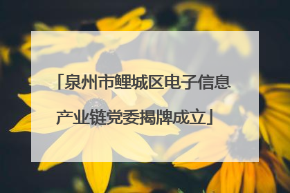 泉州市鲤城区电子信息产业链党委揭牌成立