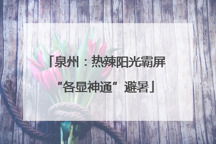 泉州：热辣阳光霸屏 “各显神通”避暑