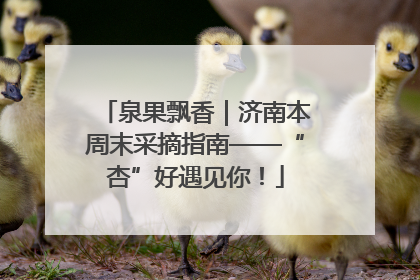 泉果飘香｜济南本周末采摘指南——“杏”好遇见你！