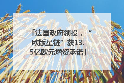 法国政府领投，“欧版星链”获13.5亿欧元增资承诺