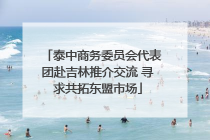 泰中商务委员会代表团赴吉林推介交流 寻求共拓东盟市场