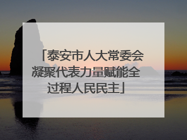 泰安市人大常委会凝聚代表力量赋能全过程人民民主