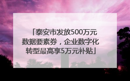 泰安市发放500万元数据要素券，企业数字化转型最高享5万元补贴