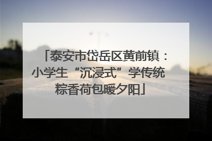 泰安市岱岳区黄前镇：小学生“沉浸式”学传统 粽香荷包暖夕阳
