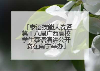 泰语技能大赛暨第十八届广西高校学生泰语演讲公开赛在南宁举办
