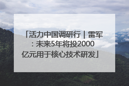 活力中国调研行｜雷军：未来5年将投2000亿元用于核心技术研发