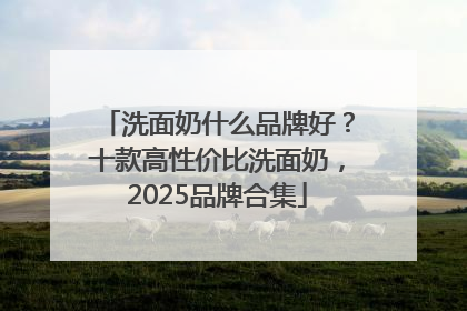 洗面奶什么品牌好？十款高性价比洗面奶，2025品牌合集