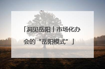 洞见岳阳丨市场化办会的“岳阳模式”