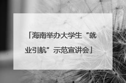 海南举办大学生“就业引航”示范宣讲会