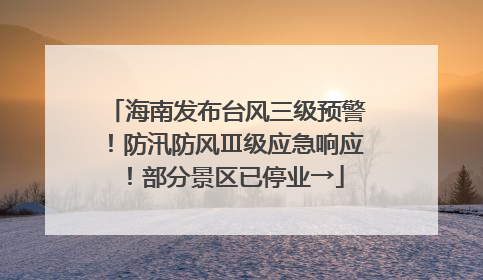 海南发布台风三级预警！防汛防风Ⅲ级应急响应！部分景区已停业→