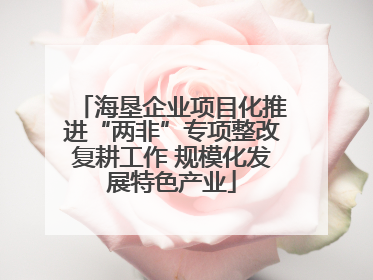 海垦企业项目化推进“两非”专项整改复耕工作 规模化发展特色产业