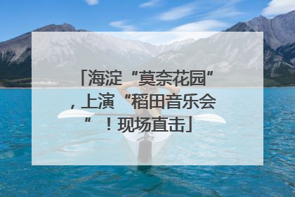 海淀“莫奈花园”，上演“稻田音乐会”！现场直击