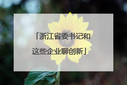 浙江省委书记和这些企业聊创新