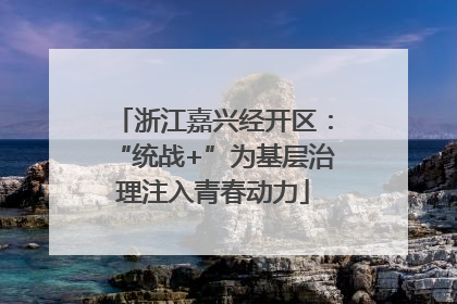 浙江嘉兴经开区：“统战+”为基层治理注入青春动力