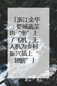 浙江金华：婺城蔬菜也“坐”上了飞机，无人机为乡村振兴插上“翅膀”