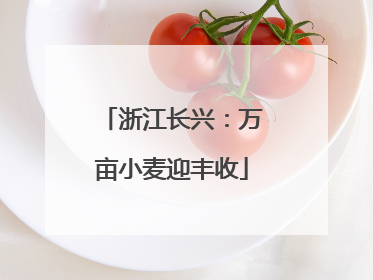 浙江长兴：万亩小麦迎丰收