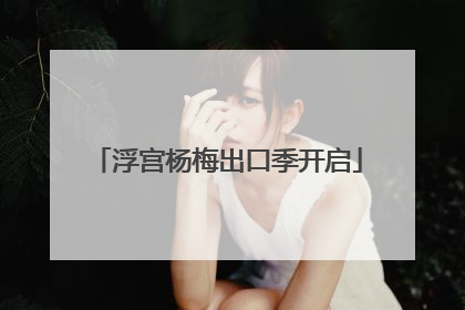 浮宫杨梅出口季开启