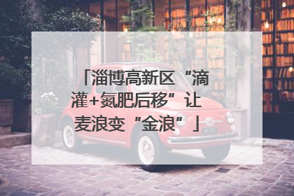 淄博高新区“滴灌+氮肥后移”让麦浪变“金浪”