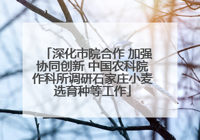 深化市院合作 加强协同创新 中国农科院作科所调研石家庄小麦选育种等工作