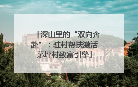 深山里的“双向奔赴”：驻村帮扶激活茅坪村致富引擎