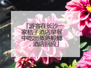 游客在长沙一家桔子酒店早餐中吃出蒸熟蟑螂，酒店回应