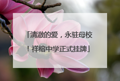 清澈的爱，永驻母校！祥榕中学正式挂牌