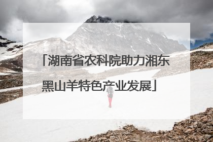湖南省农科院助力湘东黑山羊特色产业发展