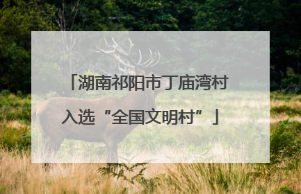 湖南祁阳市丁庙湾村入选“全国文明村”