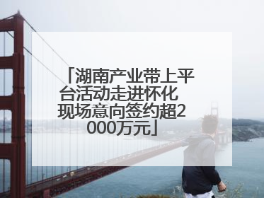 湖南产业带上平台活动走进怀化 现场意向签约超2000万元