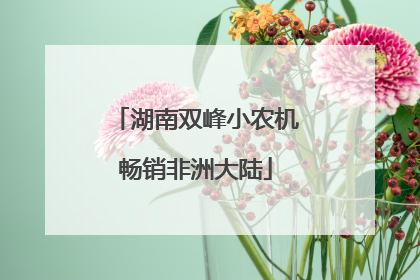 湖南双峰小农机畅销非洲大陆