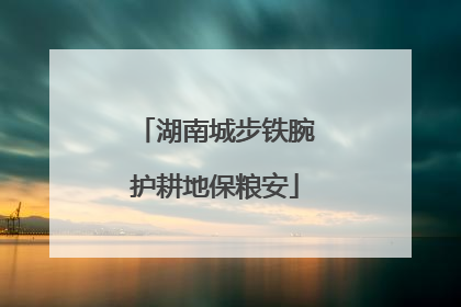 湖南城步铁腕护耕地保粮安