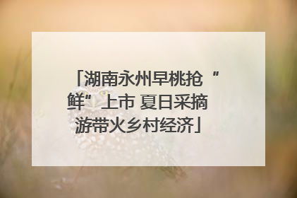 湖南永州早桃抢“鲜”上市 夏日采摘游带火乡村经济