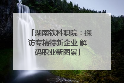 湖南铁科职院：探访专精特新企业 解码职业新图景