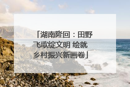 湖南隆回：田野飞歌绽文明 绘就乡村振兴新画卷