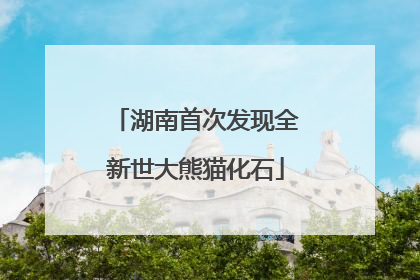 湖南首次发现全新世大熊猫化石