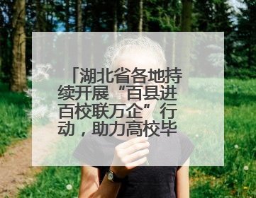 湖北省各地持续开展“百县进百校联万企”行动，助力高校毕业生就业