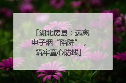 湖北房县：远离电子烟“陷阱”，筑牢童心防线